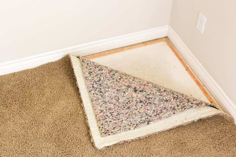 here-s-what-to-expect-when-ripping-up-carpet